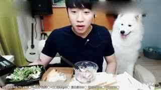 日本吃货女主播视频,镜头下的味蕾盛宴